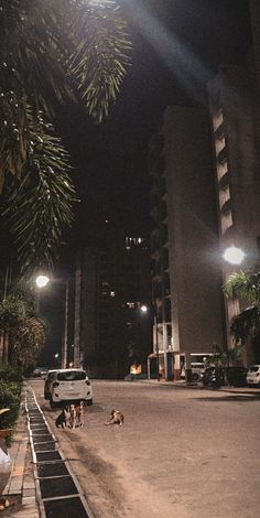 people are sitting on the curb at night in front of tall buildings and palm trees