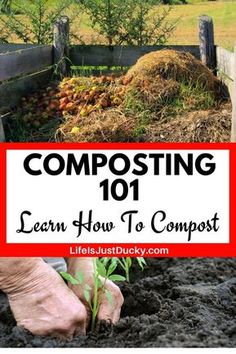 composting 101 learn how to compost in the garden and on the farm