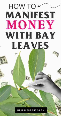 a woman's hand reaching for money with the words how to manfest money with bay leaves