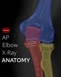 the cover of an anatomy textbook with words written in different colors and shapes on it