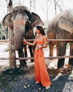 a woman in an orange dress standing next to two elephants