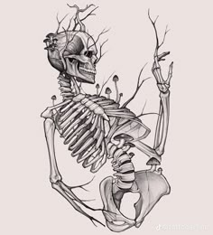 a drawing of a human skeleton with branches