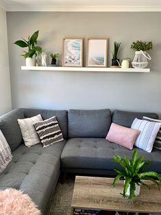 a living room with a gray couch and some plants