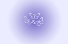 three white butterflies on a purple background