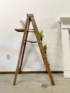 an old wooden ladder leaning against a wall with potted plants on the top and bottom