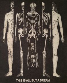 an image of three skeletons with the words this is all but a dream written in chinese