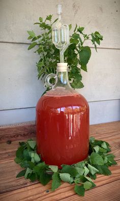 a red liquid bottle sitting on top of a wooden table next to green leaves and plants