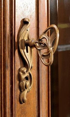 an ornate door handle on a wooden door