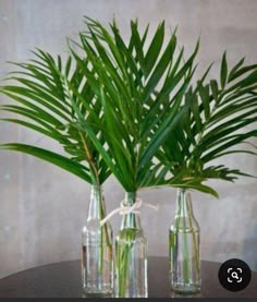 three bottles with plants in them sitting on a table