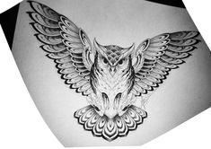 an owl tattoo design on the back of a woman's stomach, with wings spread out