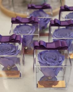 small clear boxes with purple roses in them