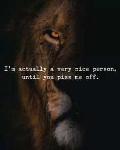 a lion's face with the words i actually a very nice person, until you piss me off