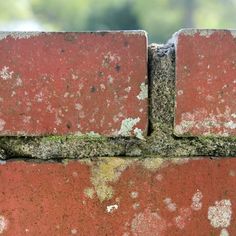 an old red brick wall with moss growing on it's sides and peeling off the edges