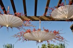 several white umbrellas hanging from a wooden structure with red flowers in the foreground