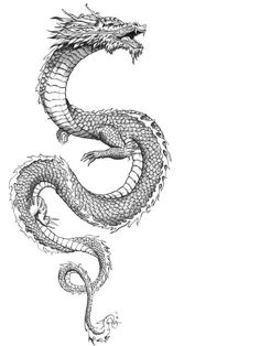 a black and white drawing of a dragon