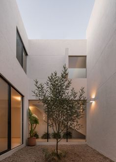 an empty courtyard with a tree in the middle and lights on either side of it