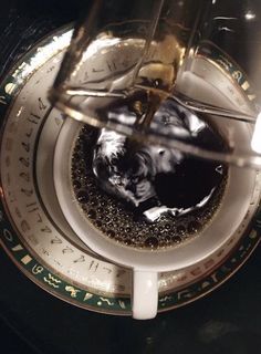 an espresso machine filled with liquid on top of a white and green plate