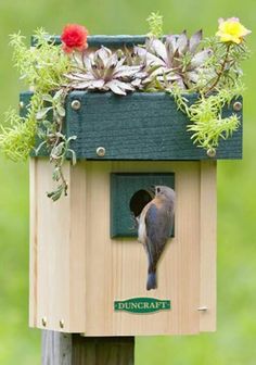 a collage of bird houses with flowers and plants