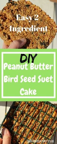 someone is holding some kind of bird seed cake with the words, easy 2 ingredient diy peanut butter bird seed suet cake