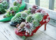 a pair of green high heeled shoes sitting on top of a wooden floor next to succulents