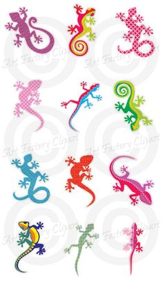 different colored lizards and lizards on white background