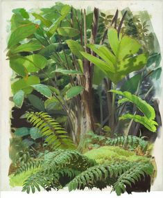 a painting of green plants and trees in the woods