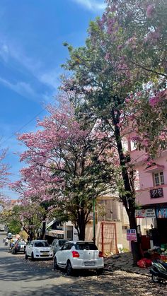 several cars parked on the side of a road next to trees with pink flowers in bloom