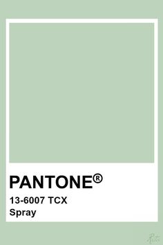 the pantone paint color is light green