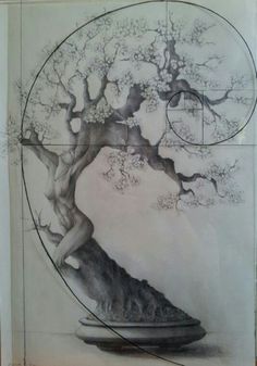 a drawing of a tree in a circle