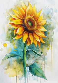 🌻 Learn how to paint stunning watercolor sunflowers with this easy-to-follow tutorial! 🎨 Discover 7 secret watercolor hacks to make your sunflowers truly unique. ✨ Perfect for beginners and experienced artists alike. 🌼 Free printable sunflower templates included to help you get started! #watercolor #sunflower #painting #tutorial #beginnerartist #arttips #freetemplate #artinspiration #sunflowerart #watercolorflowers Sunflower Painting Watercolor, Sunflower Painting Tutorial, Watercolor Hacks, Flowers Reference, Painting Supplies List, Simple Watercolor Flowers, Beginners Watercolor, Printable Sunflower, Office Layouts