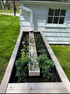 an outdoor garden with plants and rocks in the ground next to a white house on grass