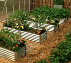 several metal planters filled with different types of flowers and plants growing in them on straw