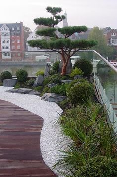 a wooden walkway next to a body of water