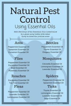 the label for natural pest control using essential oils