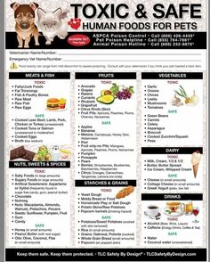 a poster with the words toxic and safe human foods for pets