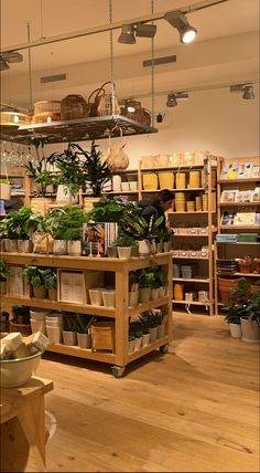 a store filled with lots of plants and potted plants on wooden shelves next to each other