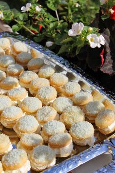 there are many small pastries on the tray next to flowers and potted plants