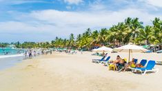 people are sitting under umbrellas on the beach in front of palm trees and blue water