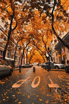 an empty street with cars parked on both sides and trees in the fall colors around it