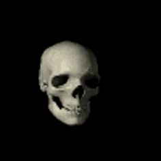 a white skull in the dark with only one eye open