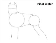 a drawing of a dog with the words initial sketch on it's back side