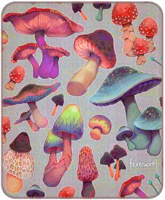 an image of many different mushrooms on the ground