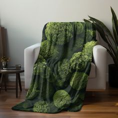 a couch with a green blanket on top of it next to a potted plant