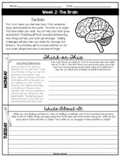 the brain worksheet for students to practice their writing skills and reading alouds