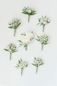 white flowers arranged in the shape of a heart on a white background with green leaves