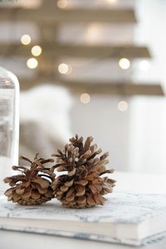 a pine cone sitting on top of a book next to a glass jar with lights in the background