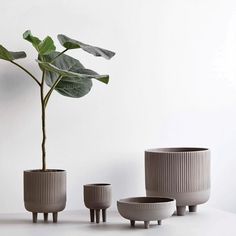 three planters sitting on top of a white table next to a potted plant