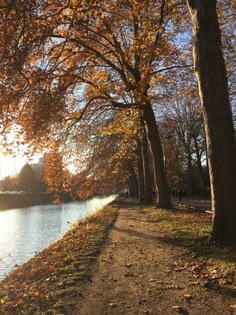 the sun shines brightly on trees along a path near a river in an autumn park