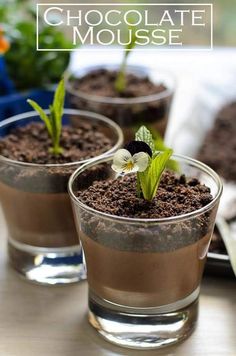 three small glass cups filled with dirt and plants