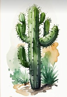 a watercolor painting of a cactus on a white background